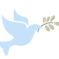 Creativa Center Logo